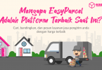 Platform terbaik kirim paket